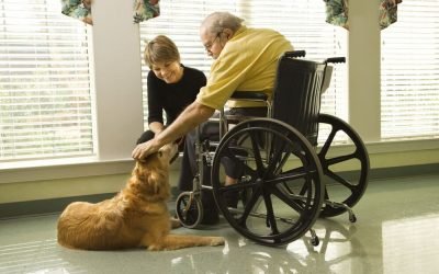 Pet Therapy For Assisted Living