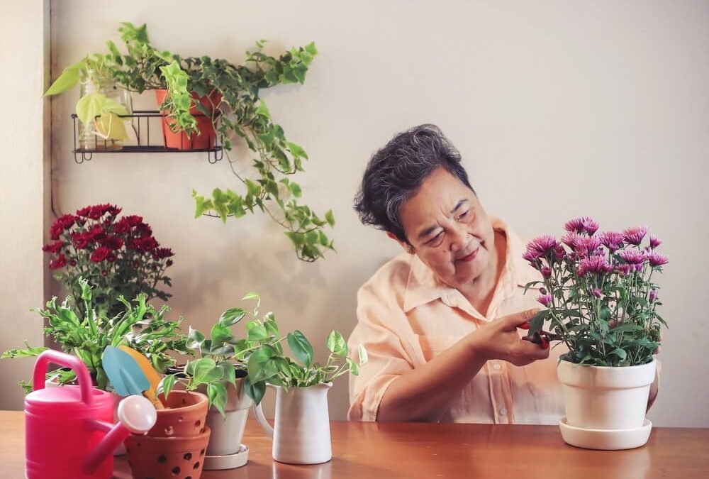 Activities for Dementia Care