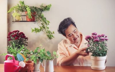Activities for Dementia Care