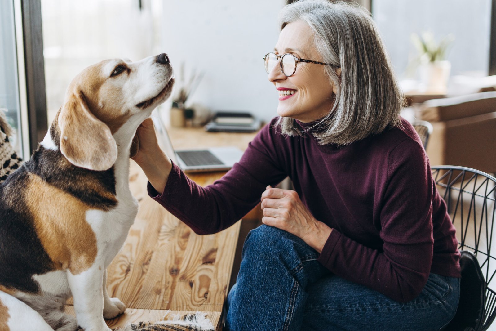Why Pets Are the Hidden Key to a Happier Senior Lifestyle