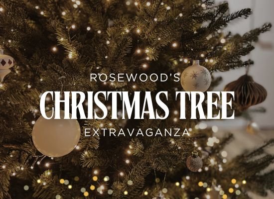 Christmas Tree Extravaganza